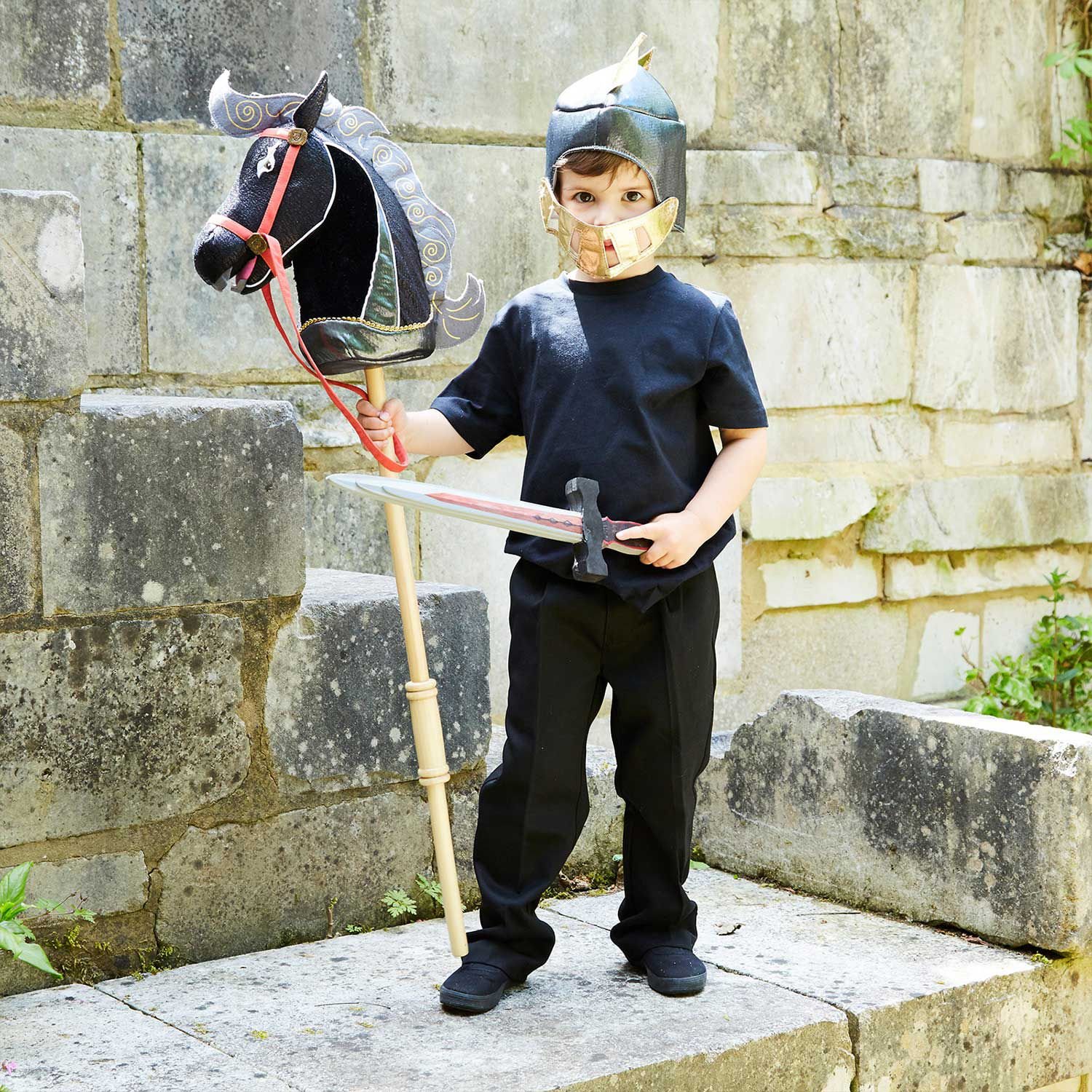 Buy Knight Hobby Horse Set | English Heritage