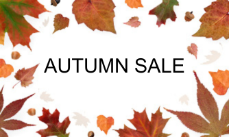 Autmn sale banner